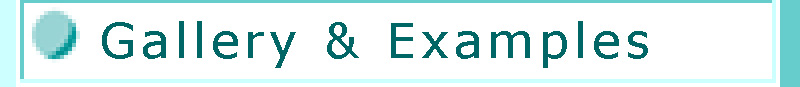 GALLERY AND EXAMPLES